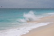 Waves breaking on the coast of Bird Island